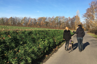Tina Wermelskirchen Einzelcoaching für Hundehalter