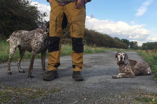 Tina Wermelskirchen Einzelcoaching für Hundehalter